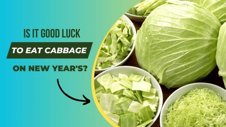 Is It Good Luck To Eat Cabbage On New Year's? (Answered!) - Good Luck Info