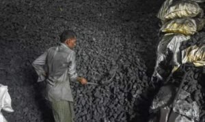 How-Coal-India-Stacks-Up-Against-Other-PSU-Stocks
