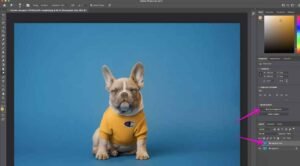 How to Remove Background from an Image Quickly