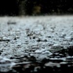 How to Prevent Damage to Your Home From Outdoor Elements