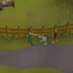 Rope OSRS