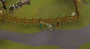 Rope OSRS