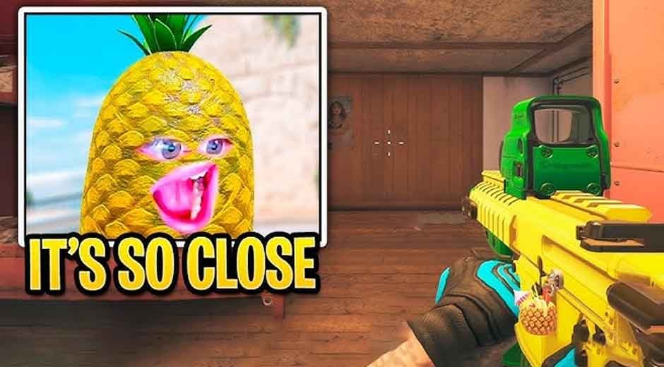 sir pineapple face reveal