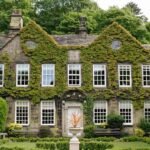 Questions to Ask at Your Wedding Venue Consultation