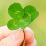 How to Make Your Own Luck in a Competitive Property Market