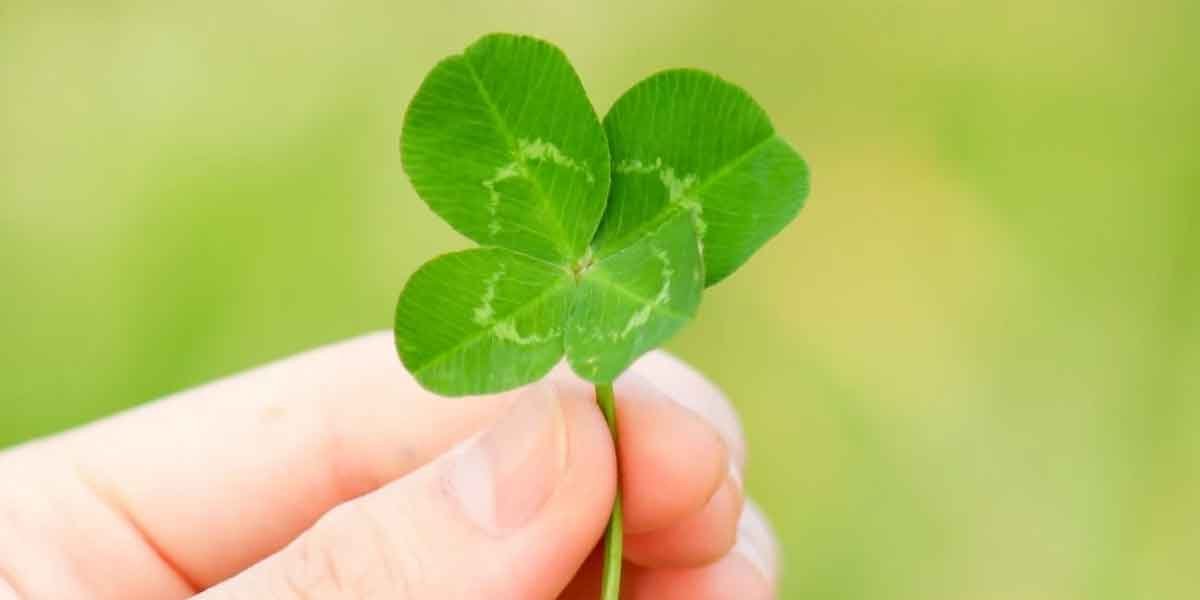 How to Make Your Own Luck in a Competitive Property Market