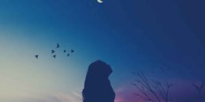 Seeking Fulfillment Through Patience and Growth Seeking-Fulfillment-Through-Patience-and-Growth