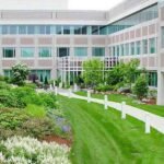 Comprehensive-Strategies-for-Maintaining-Commercial-Landscapes