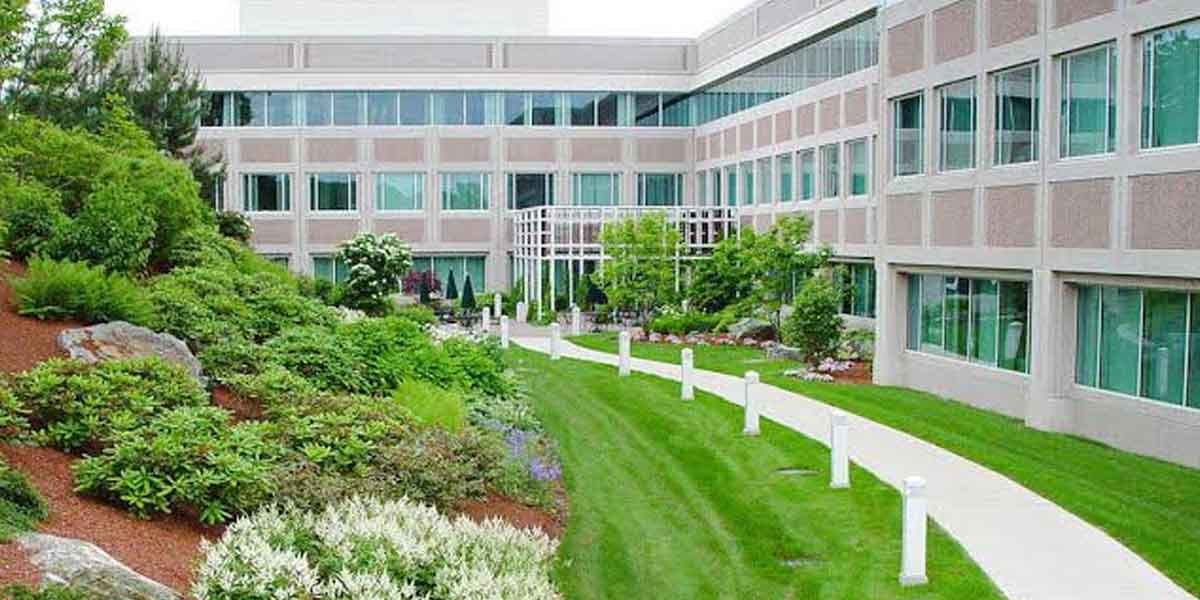 Comprehensive-Strategies-for-Maintaining-Commercial-Landscapes